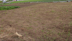 �C���[�W04